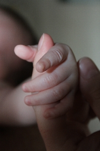 Hand girl photography kid Photo