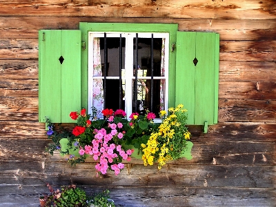 Wood house flower window Photo