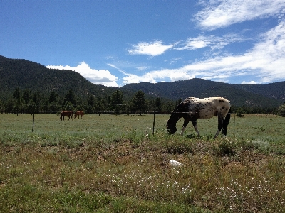 Landscape nature wilderness mountain Photo