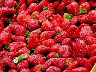 Plant fruit food red Photo