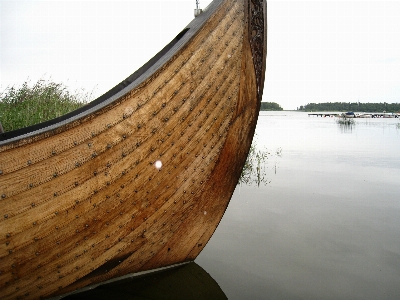 Water nature wood boat Photo