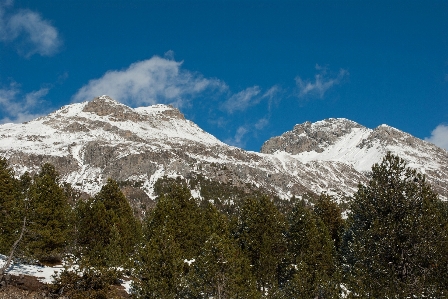 Landscape nature forest wilderness Photo