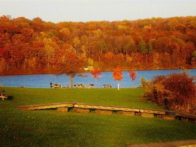 Landschaft baum wasser natur Foto