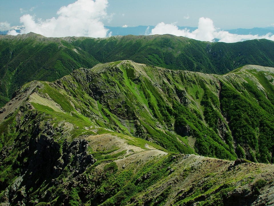 Krajobraz natura las góra