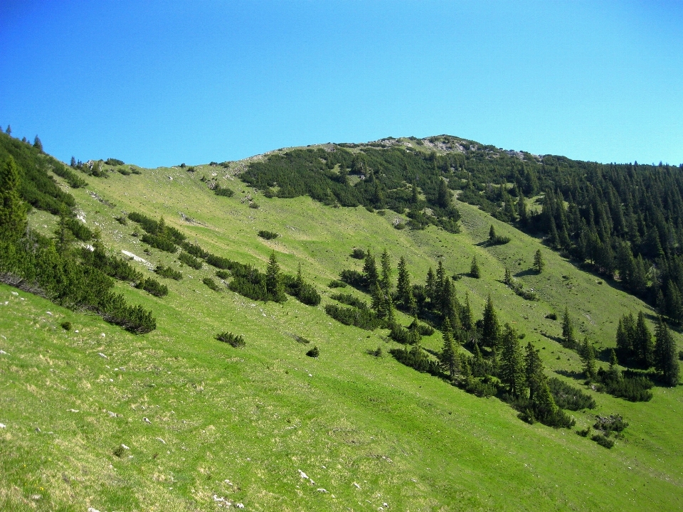 Landscape nature grass wilderness