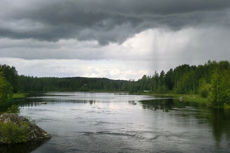 вода природа лес облако