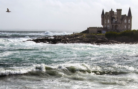 Beach sea coast water Photo