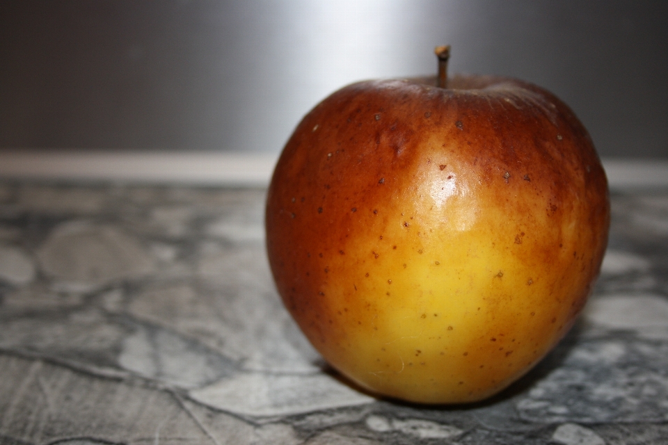 Apple anlage frucht essen