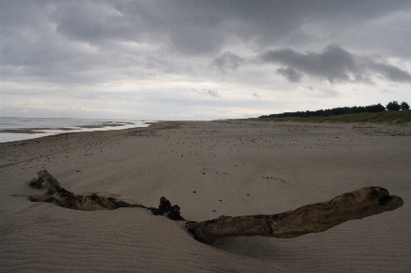 Beach landscape sea coast Photo