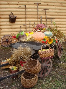 Wagon cart fall flower Photo