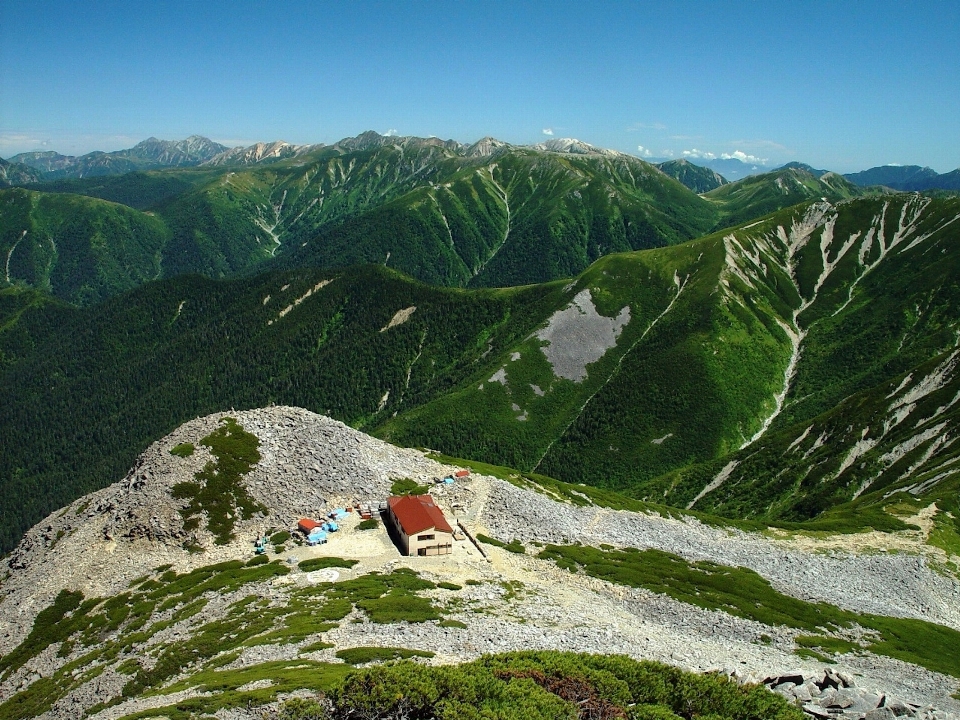 Paesaggio natura foresta a piedi