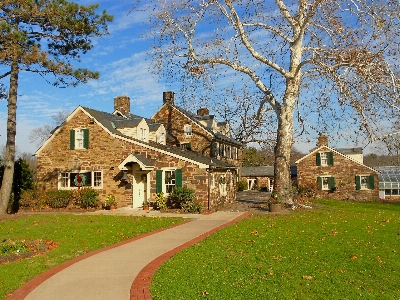 Tree nature grass architecture Photo