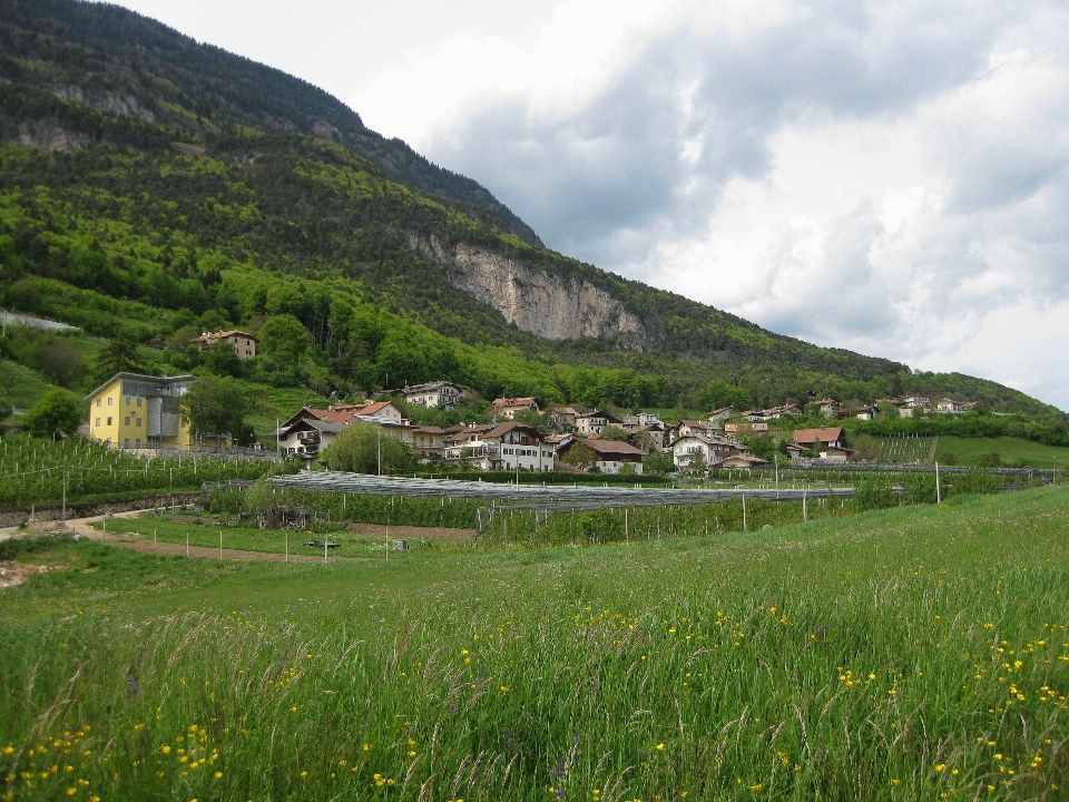 Landschaft natur gras berg