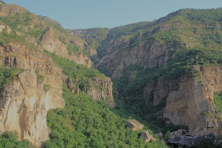 Landscape nature forest valley Photo