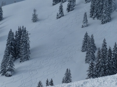 Landscape mountain snow cold Photo