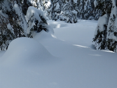 Landscape mountain snow cold Photo