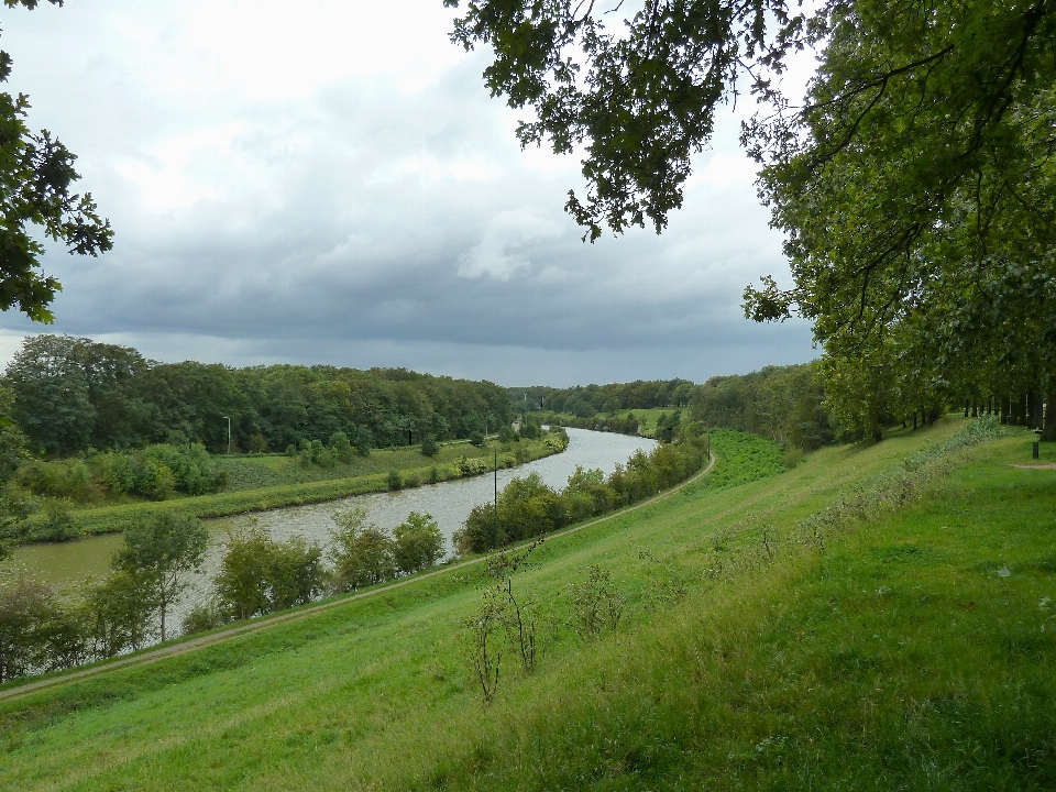 Paesaggio albero acqua natura