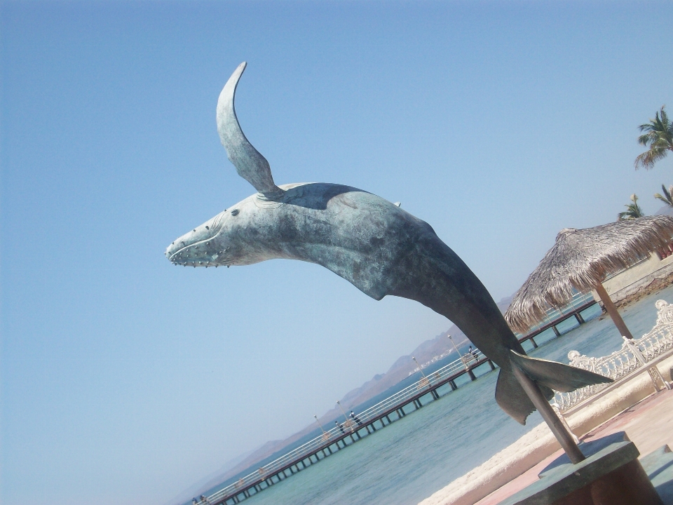 Mar animal estatua escultura