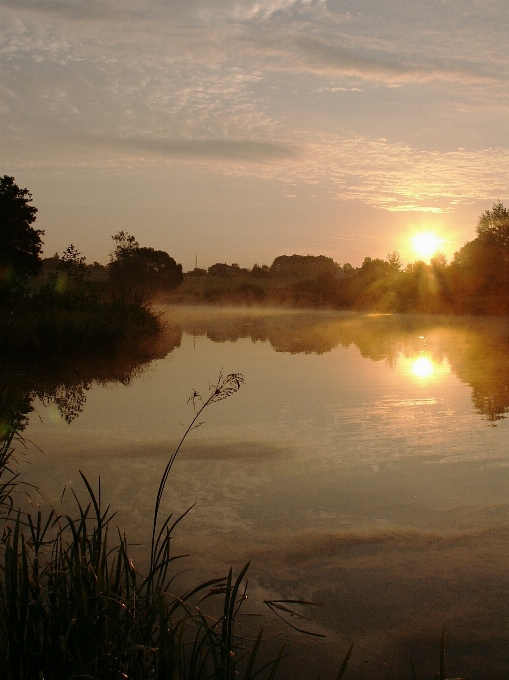 Drzewo woda natura chmura