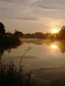 Foto Albero acqua natura nube