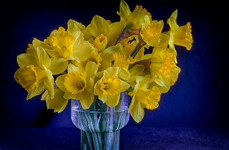 Plant flower petal bouquet Photo