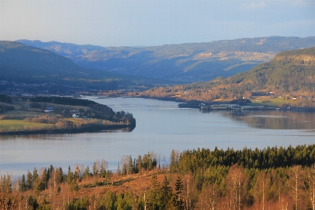 Landscape water nature forest Photo