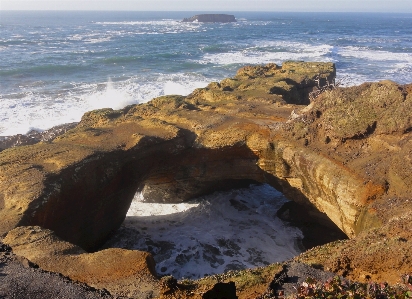 Beach landscape sea coast Photo