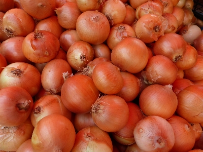 Foto Plantar fruta comida produzir