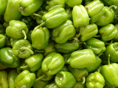 植物 花 食べ物 緑 写真