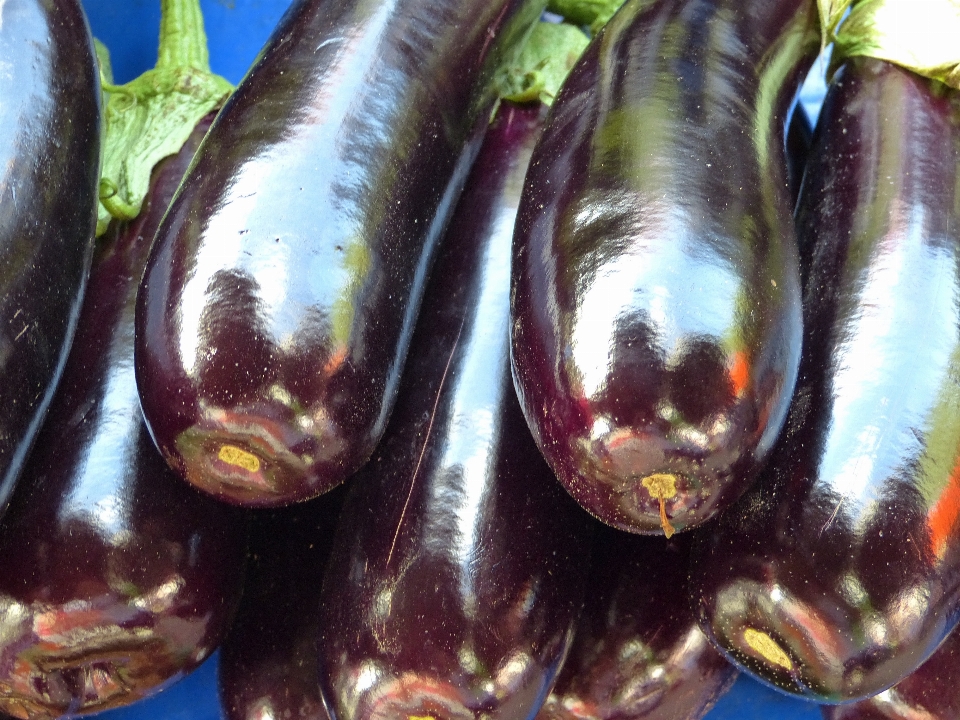 暗い 食べ物 生産 野菜