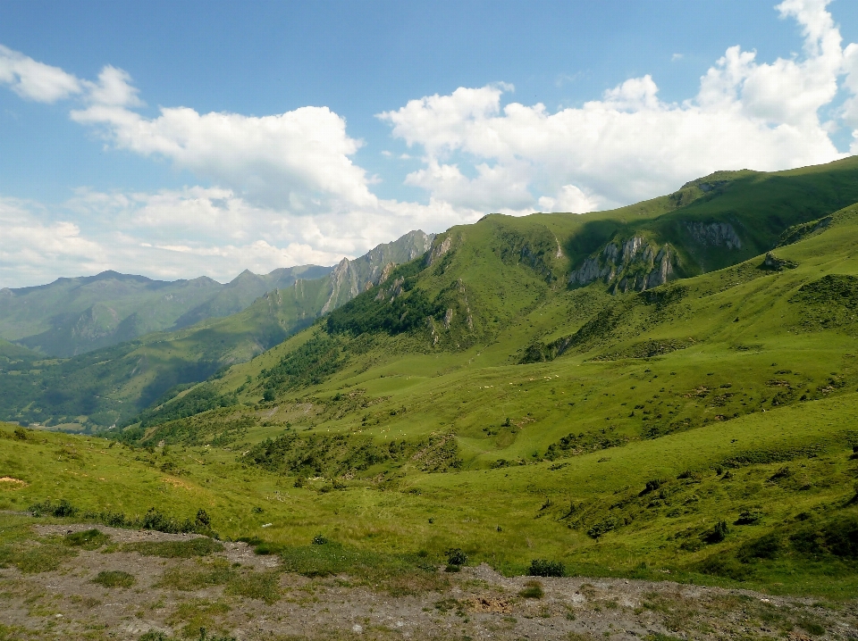 Paysage nature forêt région sauvage
