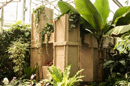 植物 家 花 緑 写真