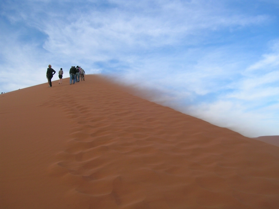 Landscape sand desert dune