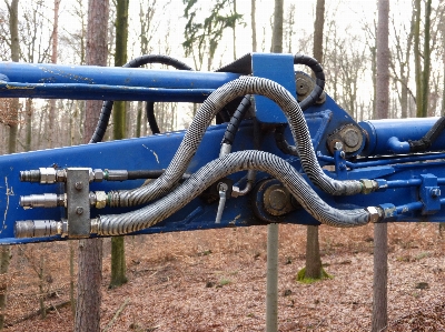 Tree forest wood vehicle Photo