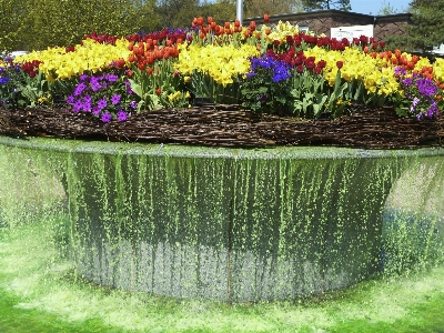 水 草 フェンス 植物 写真