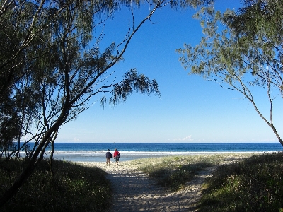 Man beach landscape sea Photo