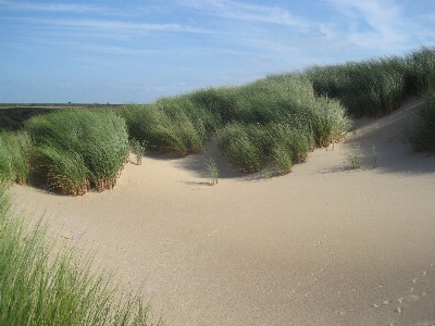 Beach landscape sea coast Photo