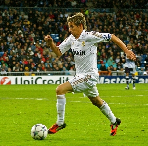 Grass field game soccer Photo