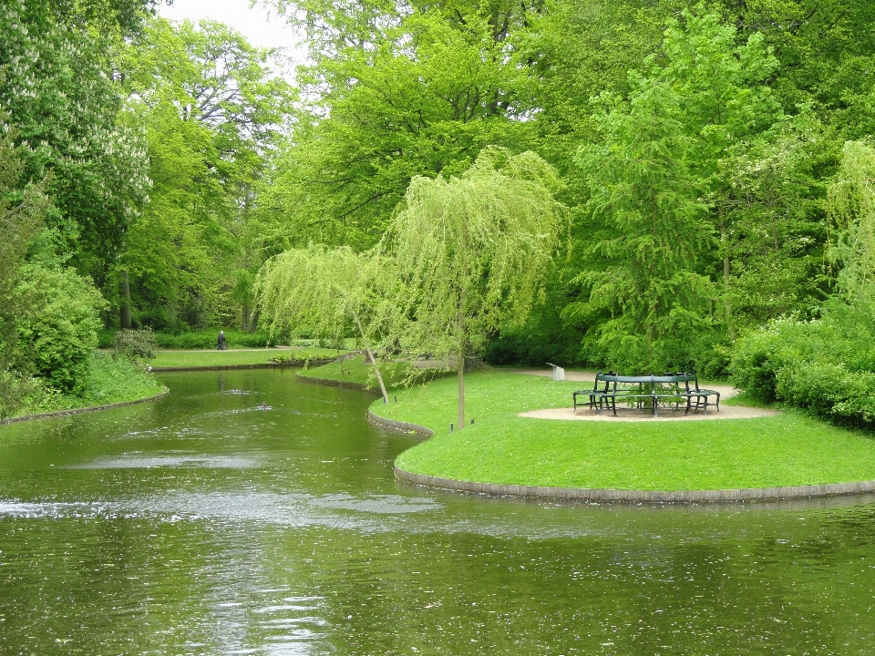 Paisaje árbol agua naturaleza