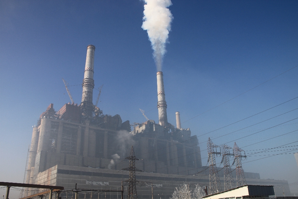 Planta rascacielos fumar industria