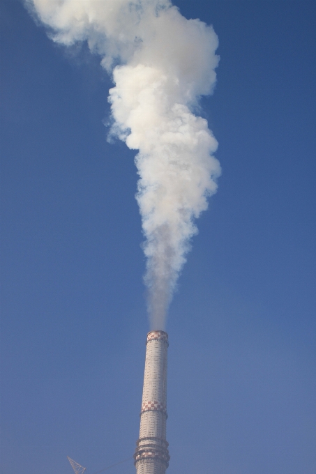 Nube planta cielo viento