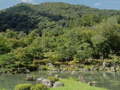 Landscape tree water nature Photo