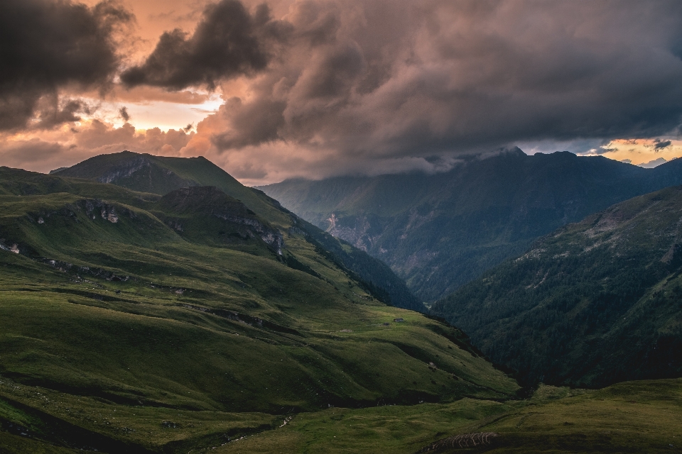 Paisagem natureza grama região selvagem
