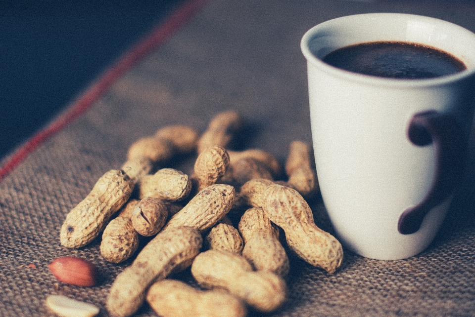 Café usine tasse nourriture