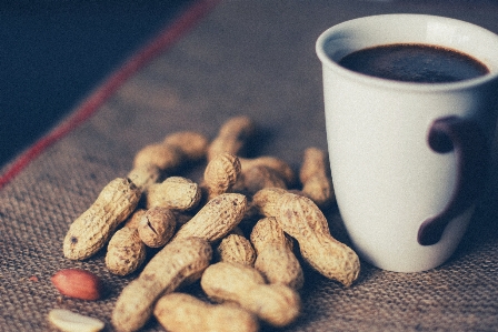 Coffee plant cup food Photo