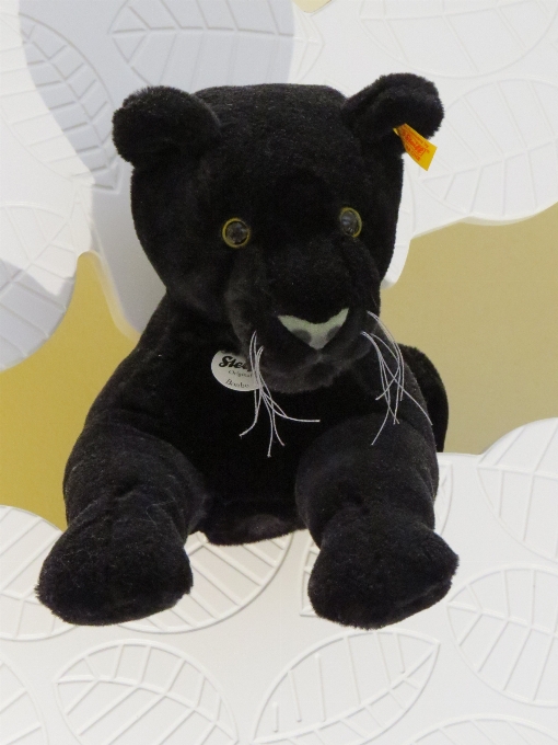 Play museum mammal black cat