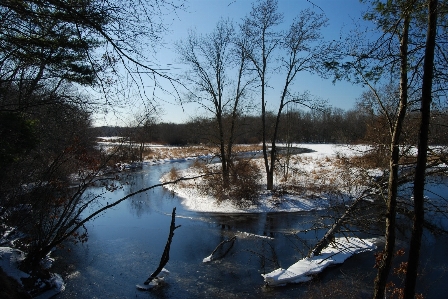 Landscape tree water nature Photo