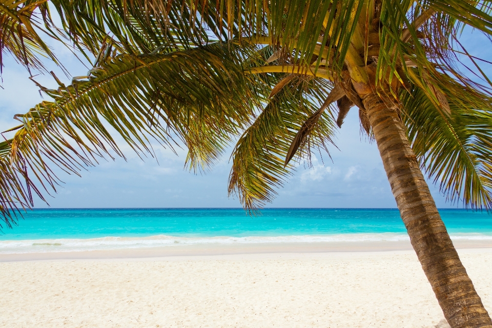 Beach landscape sea coast