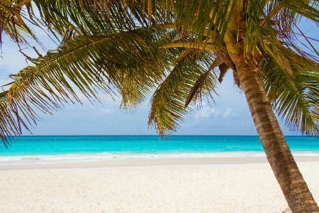 Beach landscape sea coast Photo