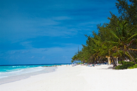 Beach landscape sea coast Photo